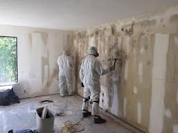 Eden, TX Mold Removal Services Company